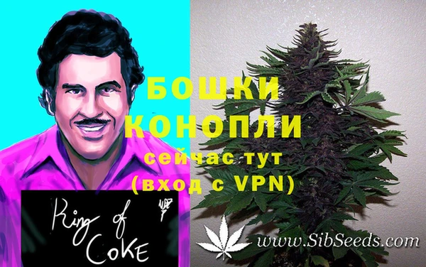 соль ск Верея