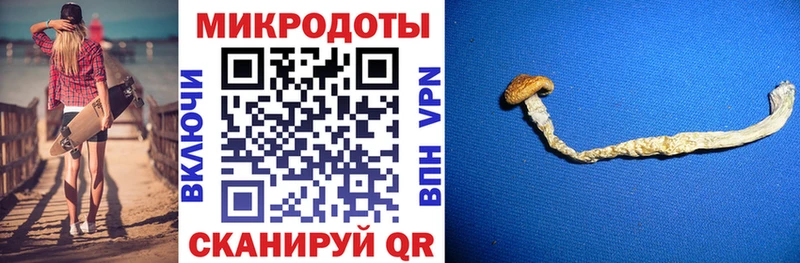 Галлюциногенные грибы MAGIC MUSHROOMS  Малаховка 